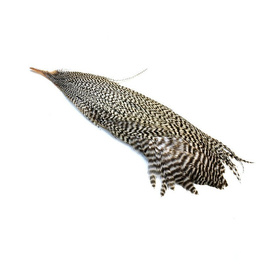 Metz Half Neck Klasa 3