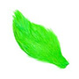 CN0066 High Green