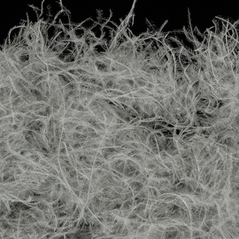 Soldarini CDC Dubbing