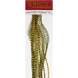 Whiting 100 Packs