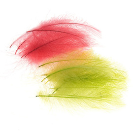 Quill & Fly CDC Superselect Colorful