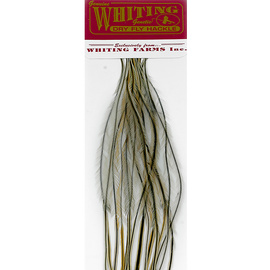 Whiting 100 Packs