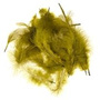 MFW089 Olive