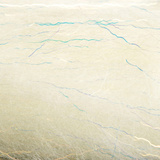 Fly-Dressing Titan Dubbing