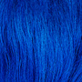 Electric Blue