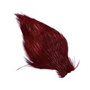 CN0110 Flery Brown