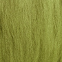 05 Light Olive