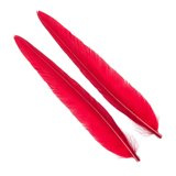 Wapsi Duck Quill, 2 pair