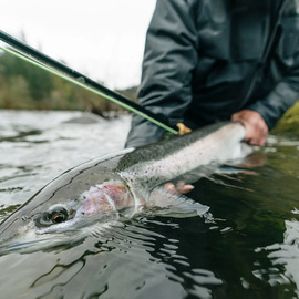 Winston Wędka Air 2 TH 