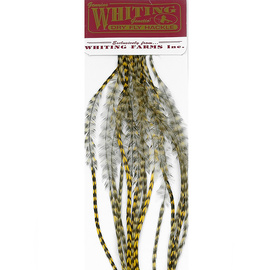 Whiting 100 Packs