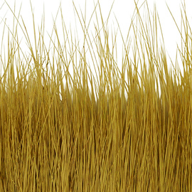 BG Nutria Shrimp Hair Supreme