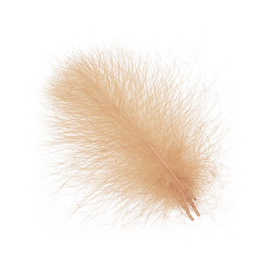 Wapsi CDC Cul De Canard