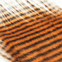 GFF-907 Orange - Black Barred