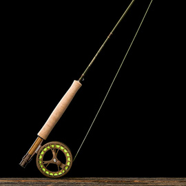 Sage Wędka Dart