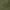 Dark Olive