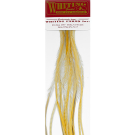 Whiting 100 Packs