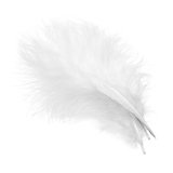 Wapsi Select Marabou Plumes