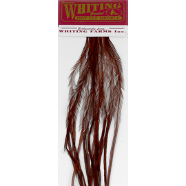 Whiting 100 Packs