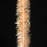 Hends Luminous Chenille 6mm