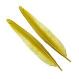 Wapsi Duck Quill, 2 pair