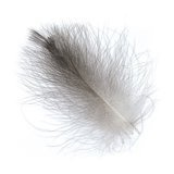 BG CDC Naturalny 0,5g