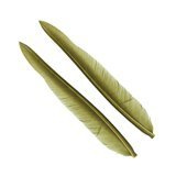 Wapsi Duck Quill, 2 pair