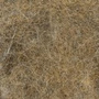 Olive Brown