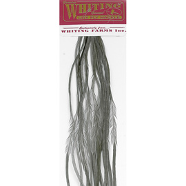 Whiting 100 Packs