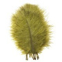 OA089 Olive