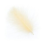 CDC094 Cahill Cream