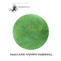 NUK40-Hydropsyche Green