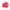 Bloodworm Red