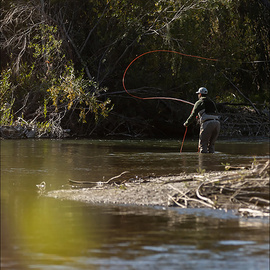 Sage Wędka Trout LL
