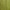 05 Light Olive