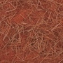 Red Fox