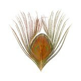 BG Paw-Quill