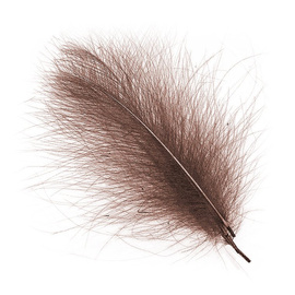 Wapsi CDC Cul De Canard