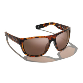 Bajio Las Rocas - Brown Tort Matte - Copper - Glass