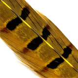 Hends Pheasant Tail