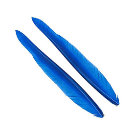 Wapsi Duck Quill, 2 pair