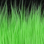 Bright Green 