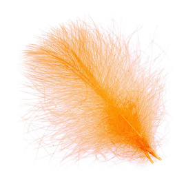 Wapsi CDC Cul De Canard