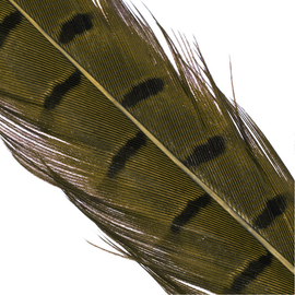 Hends Pheasant Tail