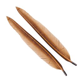 Wapsi Duck Quill, 2 pair