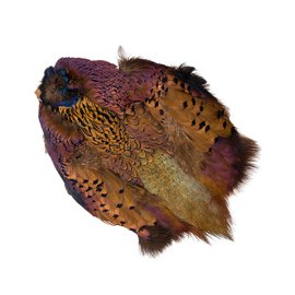 Wapsi Ringneck Pheasant Skin