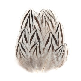 Wapsi Silver Pheasant Cheeks SPC199B